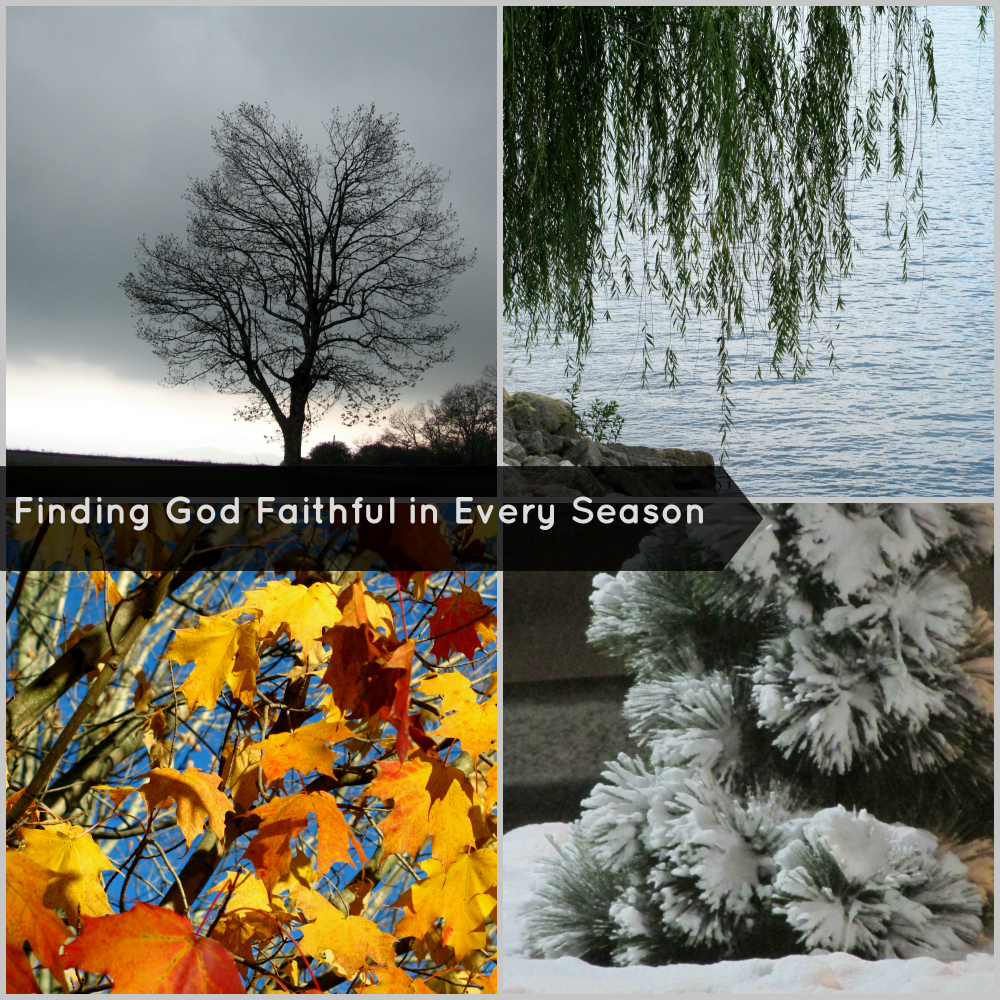Finding God Faithful in Every Season