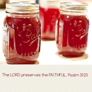 The Lord preserves the faithful