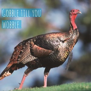 Gobble, Courtesy of Adobe Spark