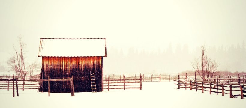 Shed in snow. Photo credit: coffee/pixabay.com