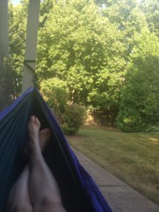 View from Hammock