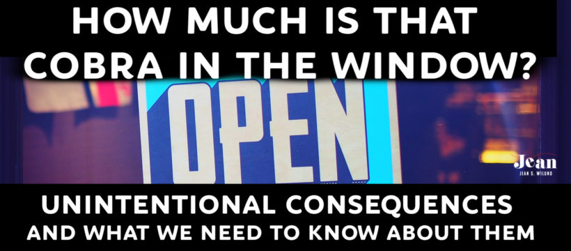 How Much is That Cobra in the Window: Unintentional Consequences and What We Need to know About Them via InspireAFire by Jean Wilund