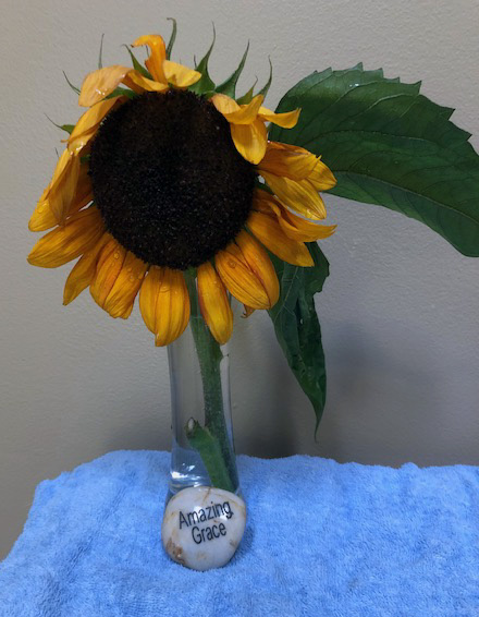 Sunflower in vase