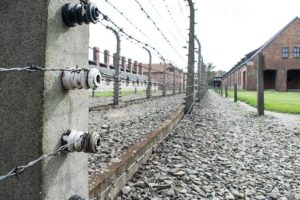 They Gave All-concentration camp fence and barracks