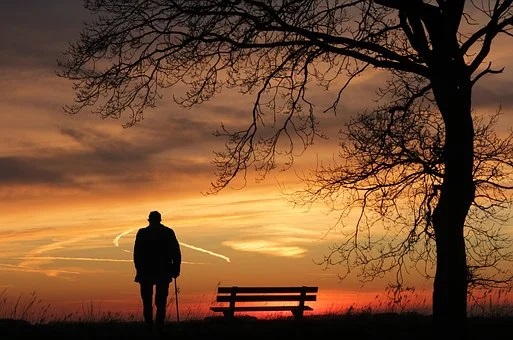 A True Measure of Happiness--old man near bench and tree at sunset