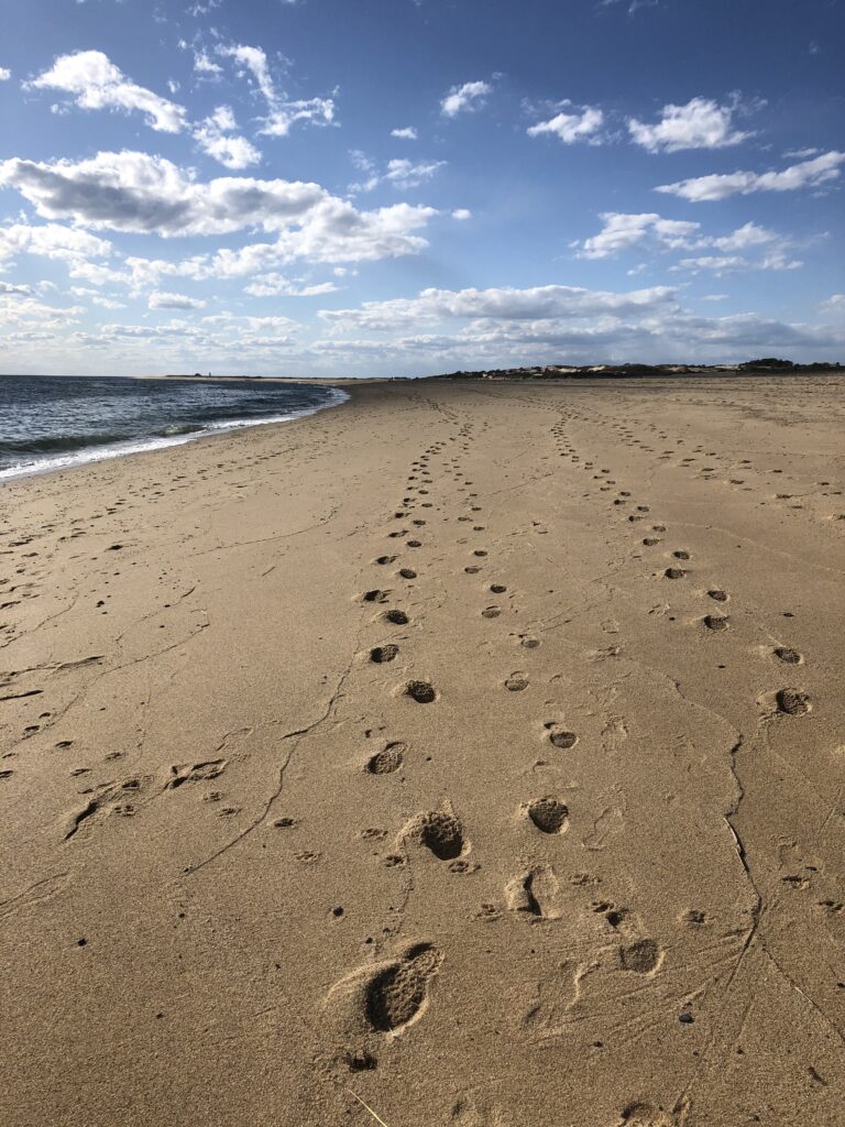 footprints. The path beyond making do.