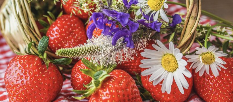 Flowers, Berries, and Tadpoles--strawberries and wildflowers spilling from basket
