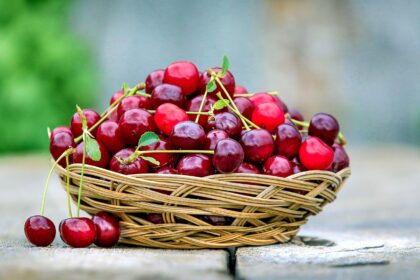 The Best Meal of the Year--Bowl of fresh cherries