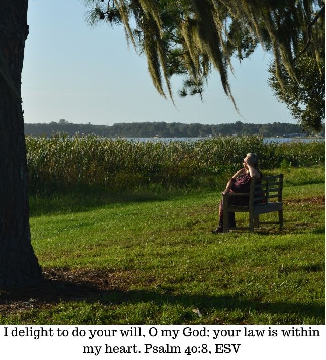 woman sitting on a bench meditating