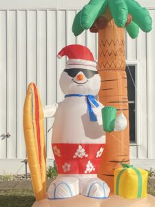 Surfing frosty