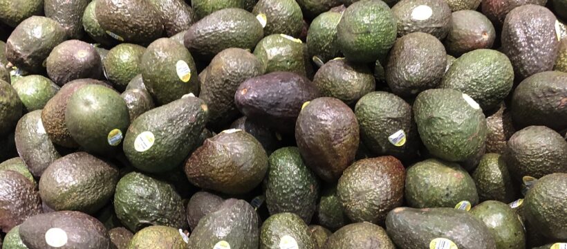 Avocados: fullness of life