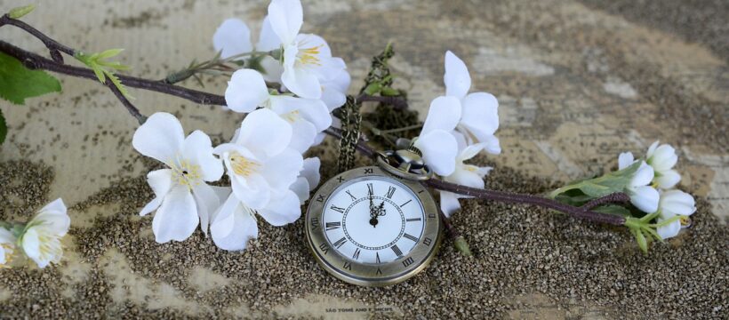 Back in the olden Days--old watch amid cut flowers on a table