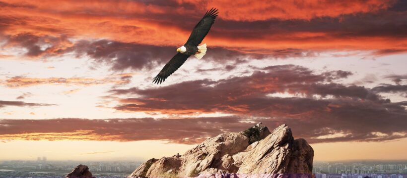 Joy for the Journey--eagle soaring over cliff rocks